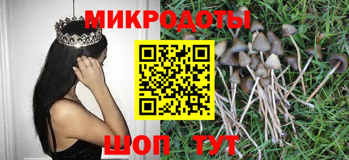 Муром  Псилоцибиновые грибы Cubensis  Галлюциногенные грибы Psilocybe  Вход с VPN 